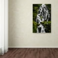 thumbnail image 3 of Trademark Fine Art "Liquid Road" Canvas Art by Philippe Sainte-Laudy, 3 of 3