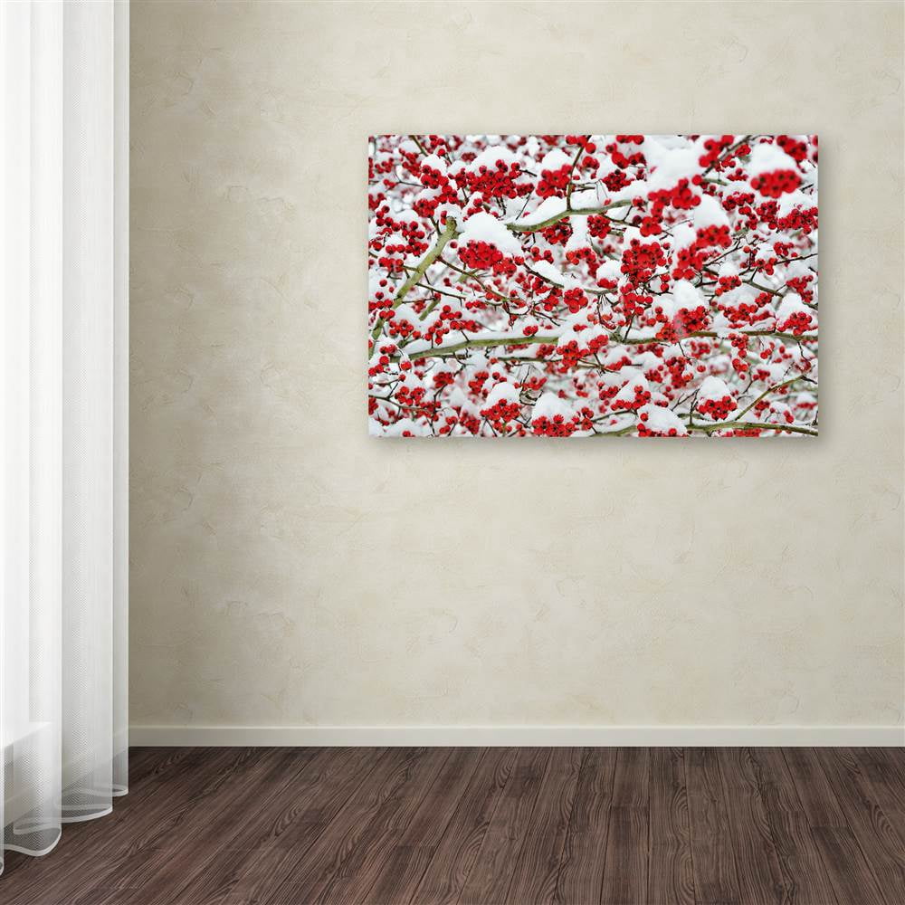 Trademark Fine Art "Winter Berries in the Snow" Canvas Art by Kurt Shaffer