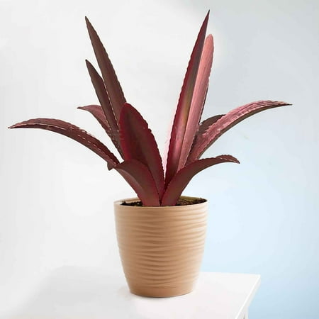 

Black and friday deals 2023 Kuluzego Iron Americana Plant Decoration Garden Creative Outdoor Decoration Decoration