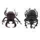 thumbnail image 1 of 2 piezas modelo de de para accesorios de biología animal de juguete de para niños, 1 of 8
