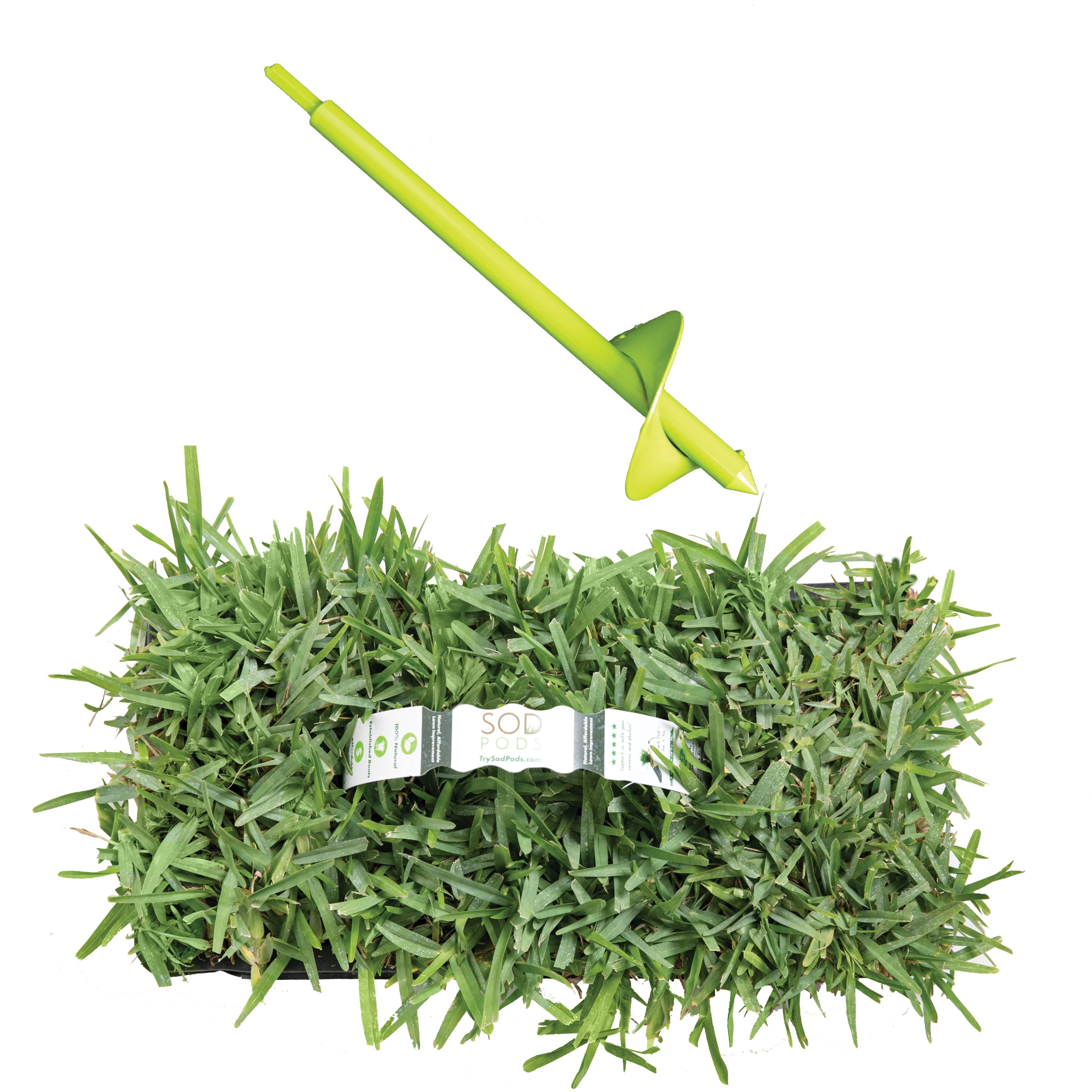SodPods St Augustine Floratam (16-Count)/SP Power Planter Bundle, Natural Affordable Lawn Improvement