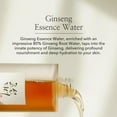 Beauty of Joseon Ginseng Essence Water Hydrating Face Toner for Dry, Dull Skin. Korean