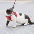 thumbnail image 1 of Cat Leash Puppy Leash Adjustable Clothes Walking Lead For Pets Puppy Prevent Break Free Walking Lead Leash, 1 of 9