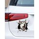 thumbnail image 2 of 1pc Doodle Style Car Sticker With Cracks & Husky Dog Design, 2 of 3