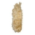 thumbnail image 5 of Kurt S. Adler Kurt Adler 30-Inch Unlit Cream Wreath - White, 5 of 7