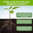 thumbnail image 4 of 1.69 oz Plant Nutrition Supplement Pot Flowers Vegetables Hydroponic Plant Strong Root Nutrient Solution, 4 of 5
