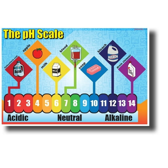 The pH Scale - NEW Classroom Science Poster
