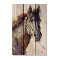 thumbnail image 4 of Gizaun Art DCBS2836 28 x 36 Black Stallion Inside & Outside Full Color wood Wall Art, 4 of 6