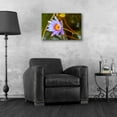 thumbnail image 4 of Epic Art 'Floral Color Theory' by Epic Portfolio, Acrylic Glass Wall Art, 24"x16", 4 of 8