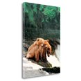 thumbnail image 1 of Tangletown Fine Art 'Rain Bears' Photographic Print on Canvas, 1 of 2