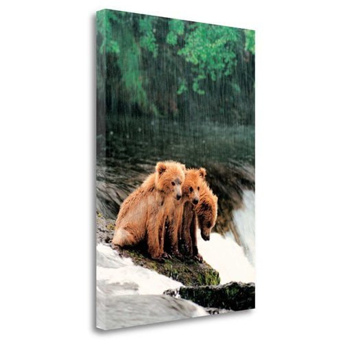 Tangletown Fine Art 'Rain Bears' Photographic Print on Canvas