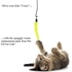 thumbnail image 2 of 5 Pack Replacement Worms for Wands Toy for Cat & Kitten, 2 of 5