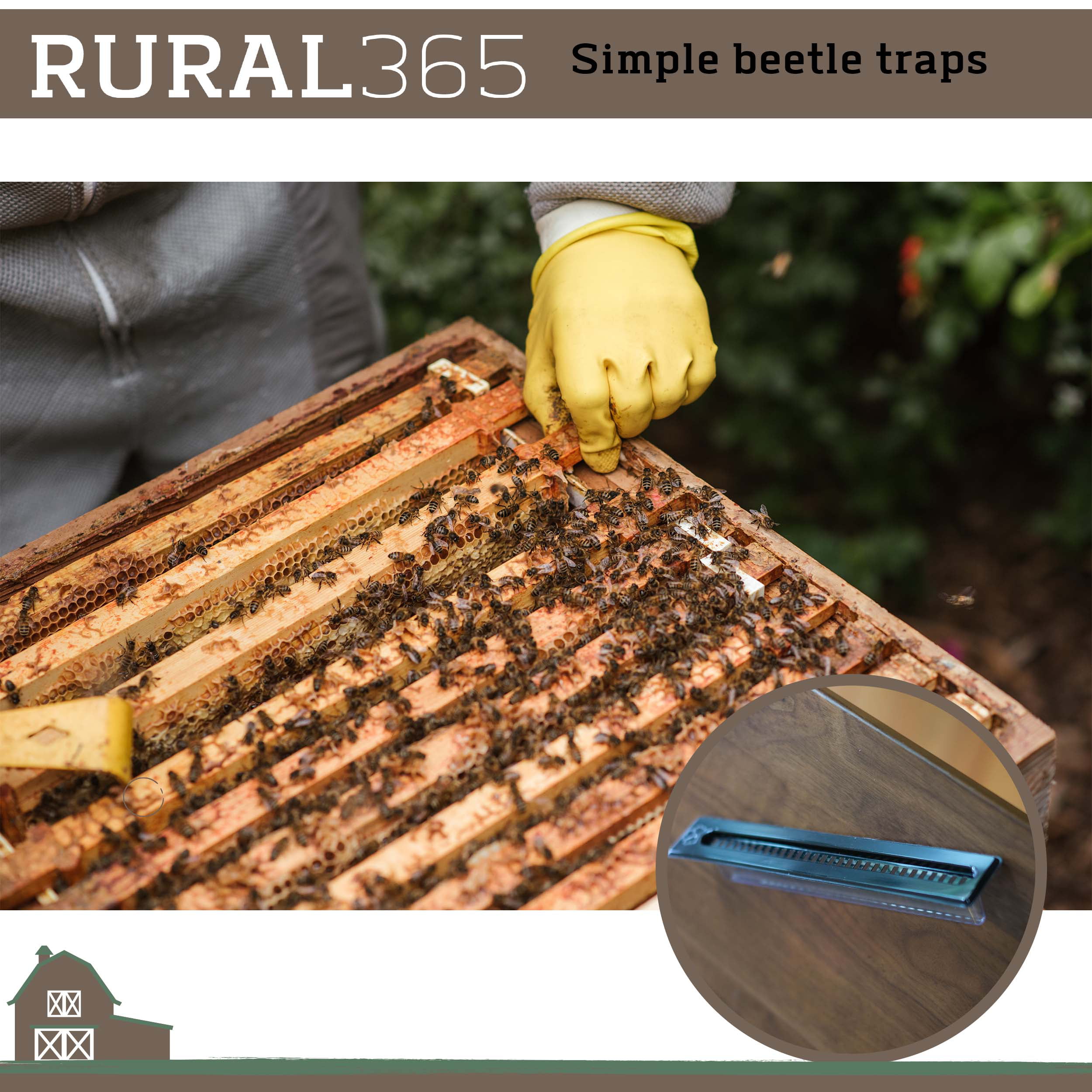 5 Black Small Bee Hive Beetle Blaster BeeHive Trap Beekeeping Equipment  PK 