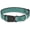 Turquoise, variant on Buckle-Down Pet Collar, Dog Collar Plastic Buckle, Pdx Airport Carpet Old, 15 to 24 Inches 1.0 Inch Wide