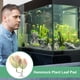 thumbnail image 5 of Uxcell 2-Pack Pad de Hoja de Pez Betta, Pad de Planta en Forma de Corazón, Cama de Descanso para Decoraciones de Tanque de Peces [Degradado Rosa], 5 of 7