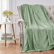 Walensee Ultra Soft Microplush Fleece Throw Blanket, 90 x 108, Sage Green, Machine Washable