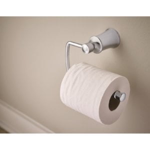 Moen YB2108BN Dartmoor Wall Mount Toilet Tissue Holder in Brushed Nickel