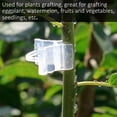 thumbnail image 2 of 2mm 100 Pcs Mini Grafting Clips Seedling Plastic Plants For Grafting Fixing Clips Gardening Tools for Grafting Fruit Vegetable Seedling, 2 of 5