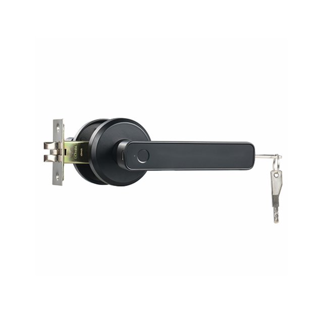 Door Knob Fingerprint Lock with Handle Passcode Biometric Keyless Entry Use for Bedroom Office