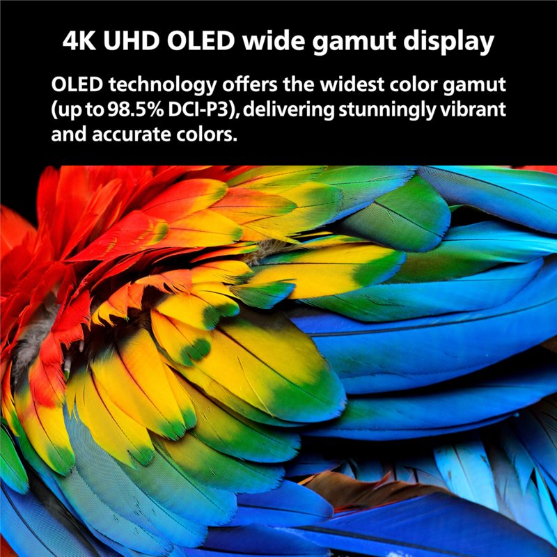 Philips 65" Class OLED 4K Ultra HD (2160p) Roku Smart TV (65OLED974/F7) gallery view