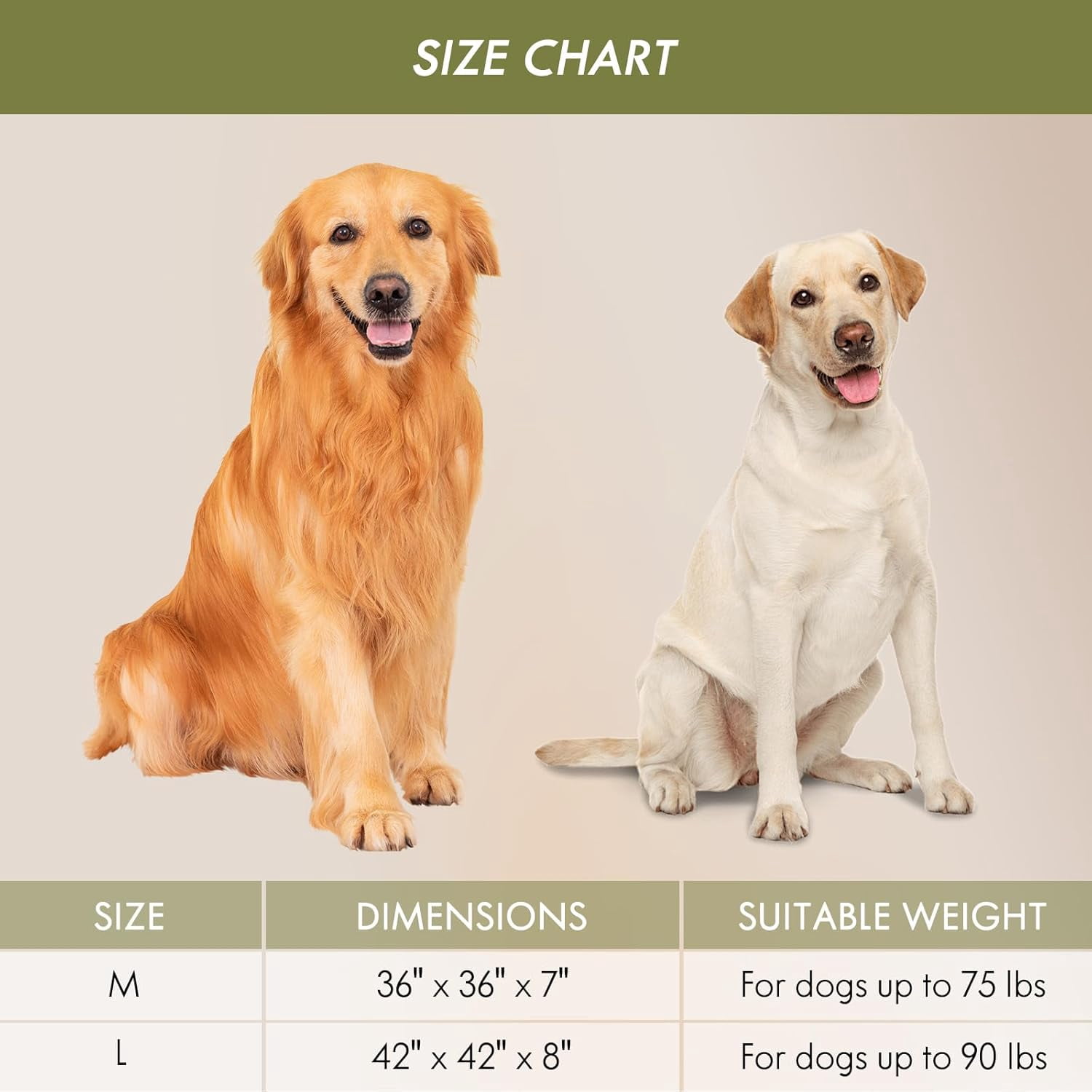 ClevaHome Orthopedic Pet Bed for Large Dogs: This mattress features a waterproof, washable surface, along with a waterproof inner liner and a non-slip bottom. Available in 42"x42"x8", green.