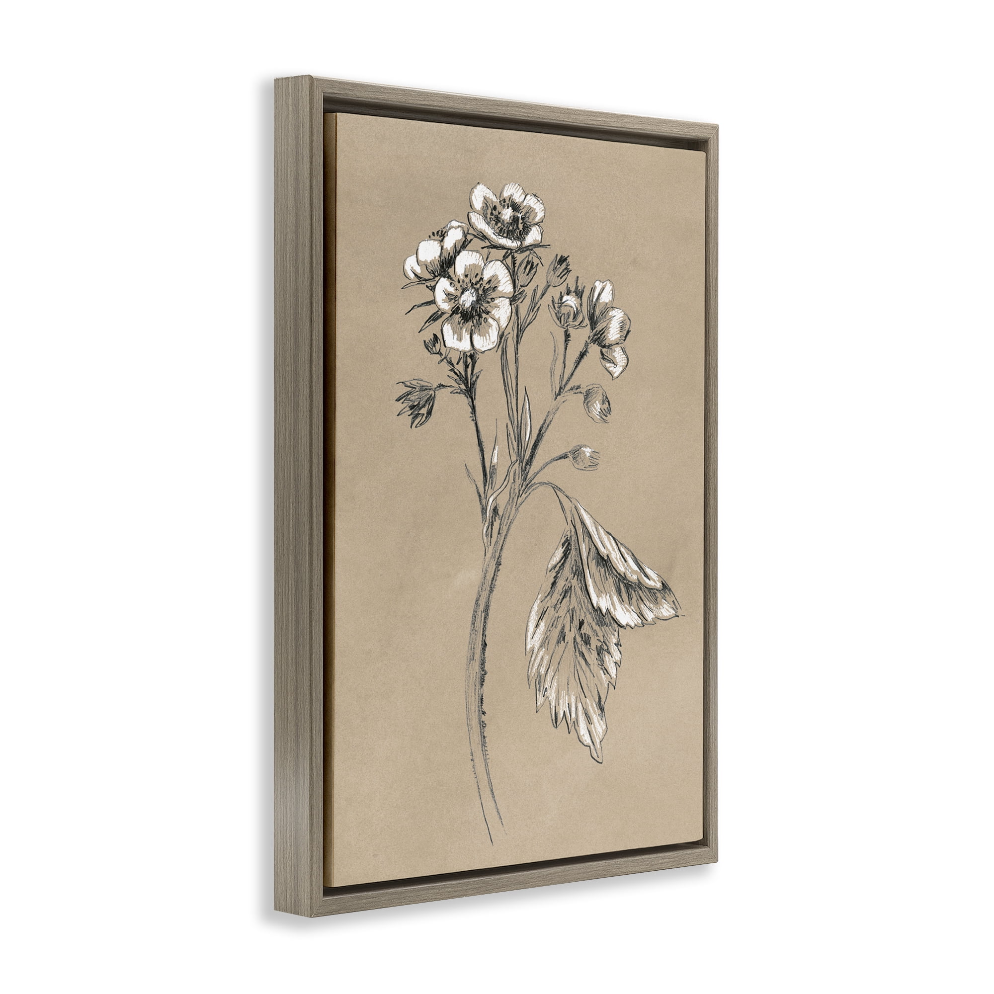 Stupell Industries Flower Sprig Sketch Botanical & Floral Drawing Brown Floater Framed Art Print Wall Art, 17 x 25