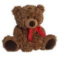 thumbnail image 2 of Aurora - Large Brown Bear - 12.5" Coco Bear - Snuggly Stuffed Animal, 2 of 5