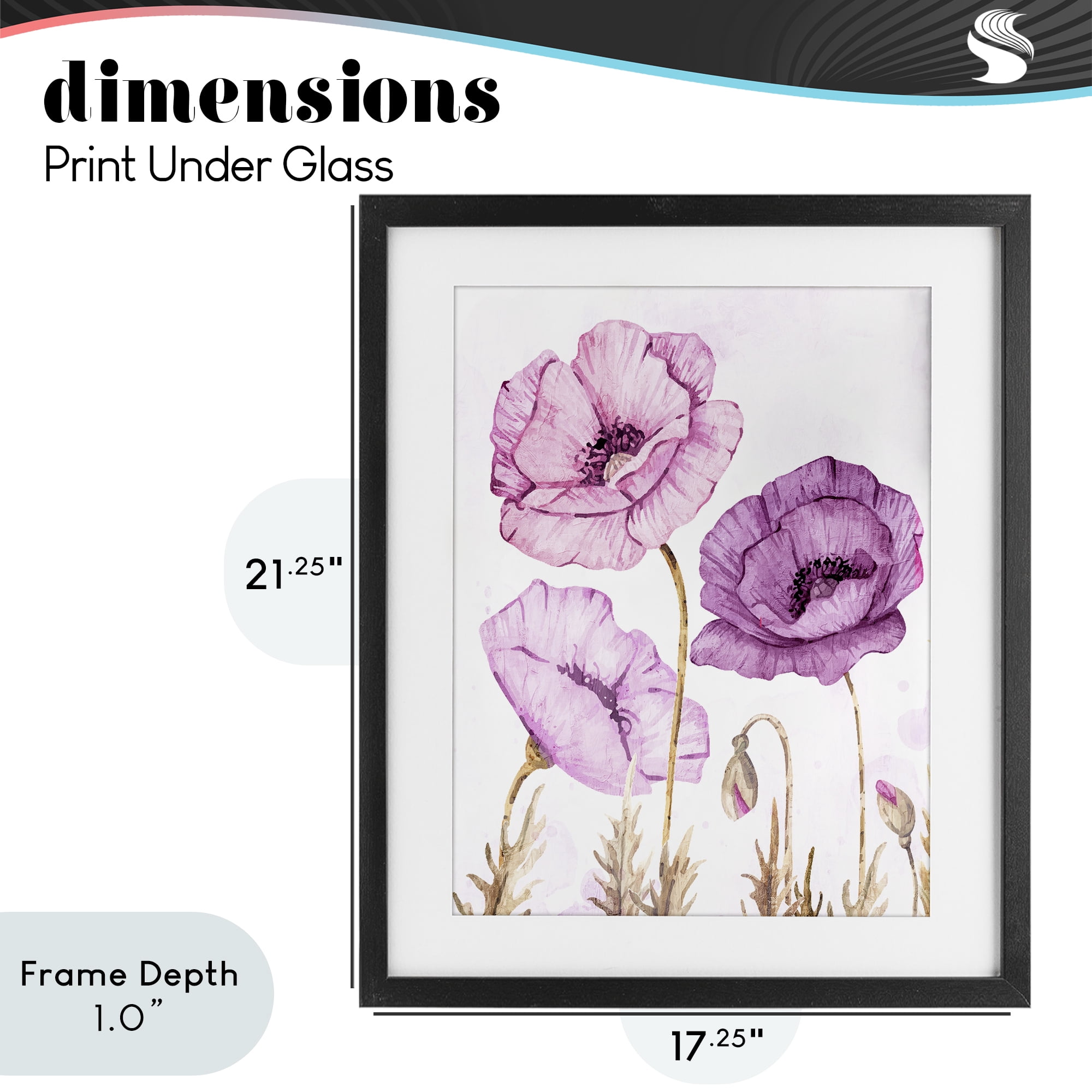 Stupell Industries Bright Poppies in Purple Black Framed Print Under Glass, design by Kim Allen