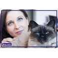 thumbnail image 3 of FELIWAY) Classic FELIWAY Recharge, Lot de 3 (Recharge - pour Utilisation avec les Diffuseurs FELIWAY - Rassure les Chats et Aide à Contrôler les Comportements Involontaires comme la Pulvérisation d'Urine, les Rayures, Se Cacher à la Maison - (, 3 of 9