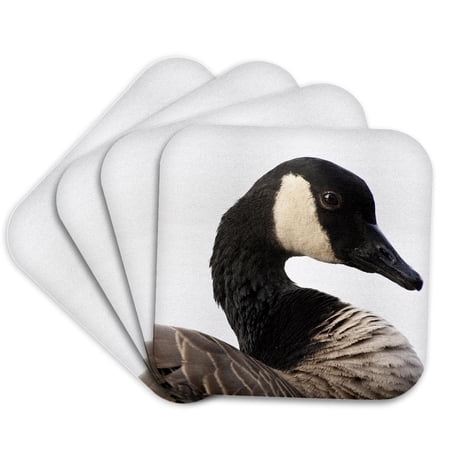 3drose, a Canada Goose (branta Canadensis), Bird - Na02 Rbr0001 - Rick A. Brown, Set of 4 Coasters - Cork