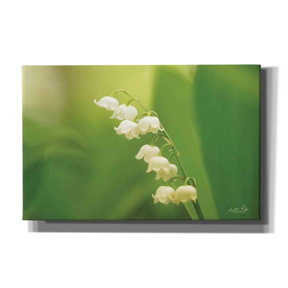 Epic Graffiti 'Lily of the Valley' by Martin Podt, Canvas Wall Art, 40"x26"