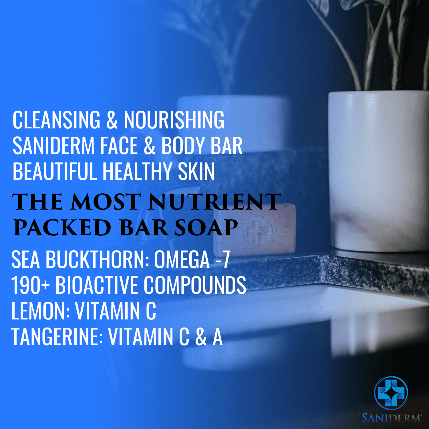 Saniderm Face and Body Bar Soap, Hydrating and Nepal Ubuy