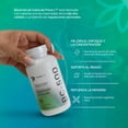 thumbnail image 5 of Primetech BC-500 Bitartrato de Colina 500mg Soporte Cognitivo, Enfoque y Memoria Esencial para Metabolismo de Grasas y Hígado 120 Cápsulas con Complejo B, 5 of 5