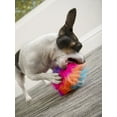 thumbnail image 6 of goDog Just For Me Furballz with Chew Guard Technology Plush Dog Toy, Cool Rainbow, Mini, 6 of 8