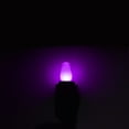 thumbnail image 7 of Luxrite C7 LED Purple Replacement Light Bulbs for String Lights 0.5W Colored Bulb Enclosed Fixture Rated UL E12 Indoor Outdoor 6 Pack, 7 of 7