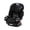 Tomlin, variant on Graco 4Ever DLX SnugLock 4-in-1 Convertible Car Seat in Leila Purple
