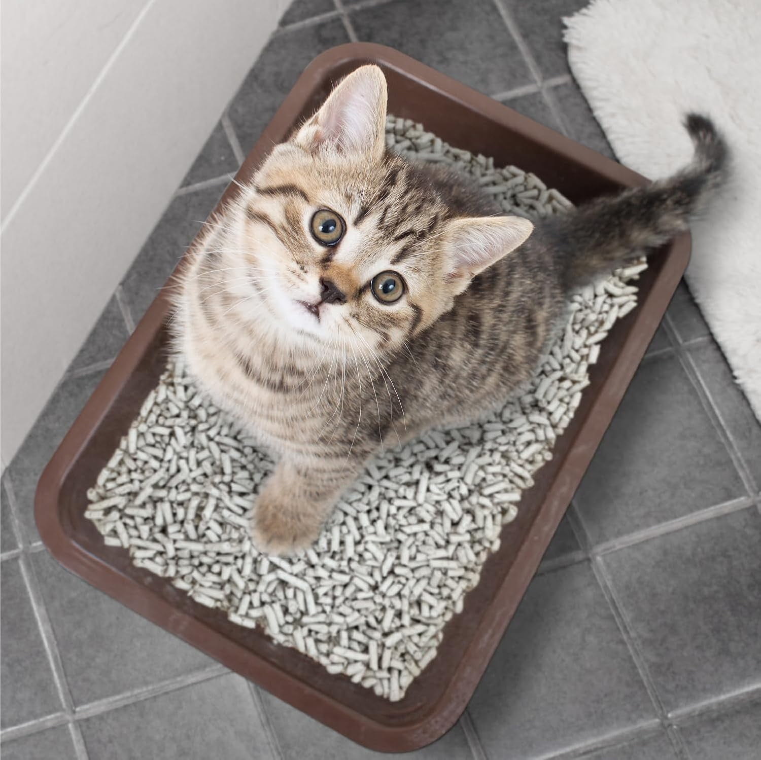 Breeder Celect Cat Litter | 99% Recycled Paper | Highly Absorbent | Natural & Nontoxic | 7 lb bag