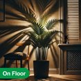 thumbnail image 6 of Taurisu 15W LED Spot Lights Up Lights Indoor 2-Pack,Multi-purpose Up Lighting Wall Mountable Table Floor Lamp, 3000k Warm White 1500LM Bulbs For Living Room Plant Display and Art Space Illumination, 6 of 9