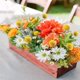thumbnail image 2 of 30pcs Dried Flowers Real Natural Artificial Flowers Artificial Flowers 26-27s, 2 of 4