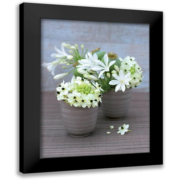 Beyler, Catherine 12x14 Black Modern Framed Museum Art Print Titled - Composition Zen - Etoile de Bethleem, Agapanthe et Pavots