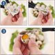 thumbnail image 5 of 8 Pcs Stainless Steel Quail Egg Shell Cutters Separator Quail Egg Scissor Egg Shell Scissor Tool, 5 of 5