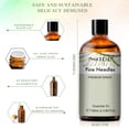thumbnail image 3 of PHATOIL Pine Needles Essential Oils for Humidifier Aromatherapy Massage Bath Sleep Relaxation 100ml/3.38 fl.Oz, 3 of 7