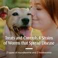 thumbnail image 2 of PETARMOR Sure Shot 2X Liquid Wormer for Dogs and Puppies, 2 of 10