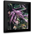 thumbnail image 1 of Melanson, Suzanne 15x18 Black Modern Framed Museum Art Print Titled - Lavender Beauty, 1 of 5