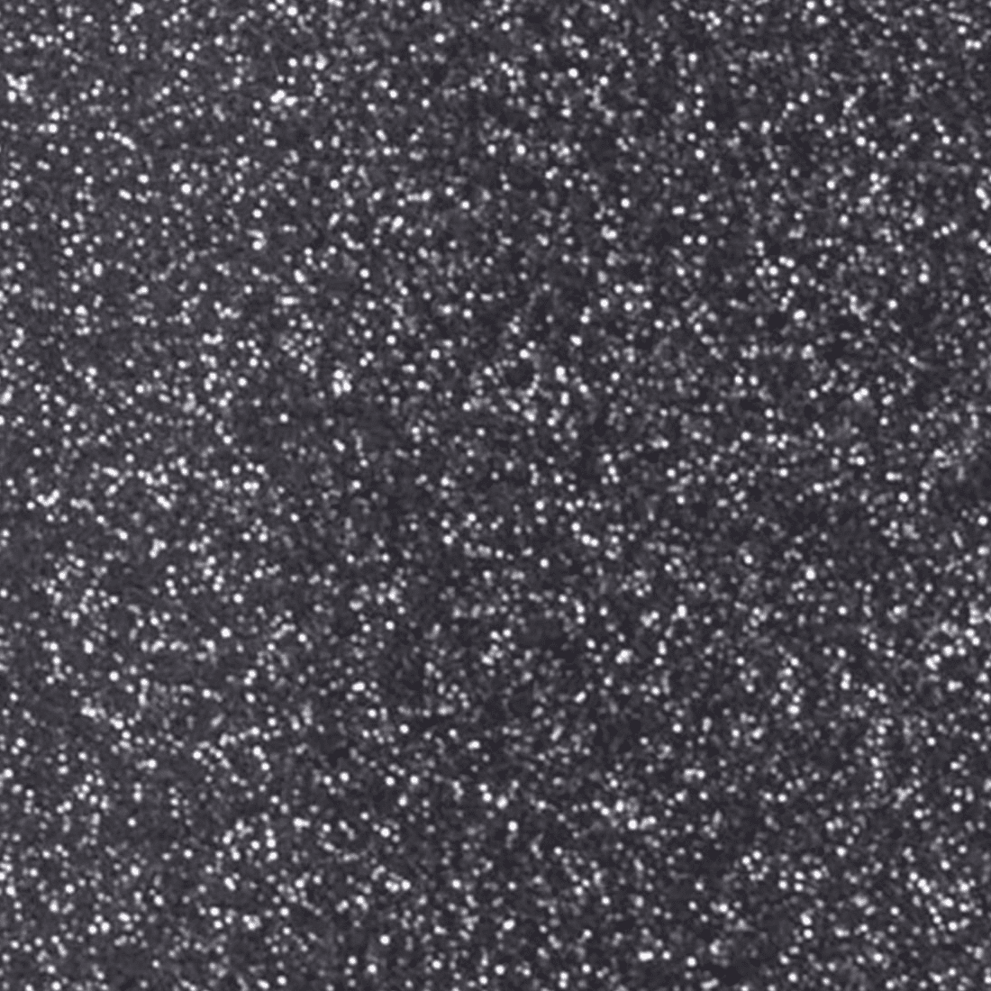 Midnight Black