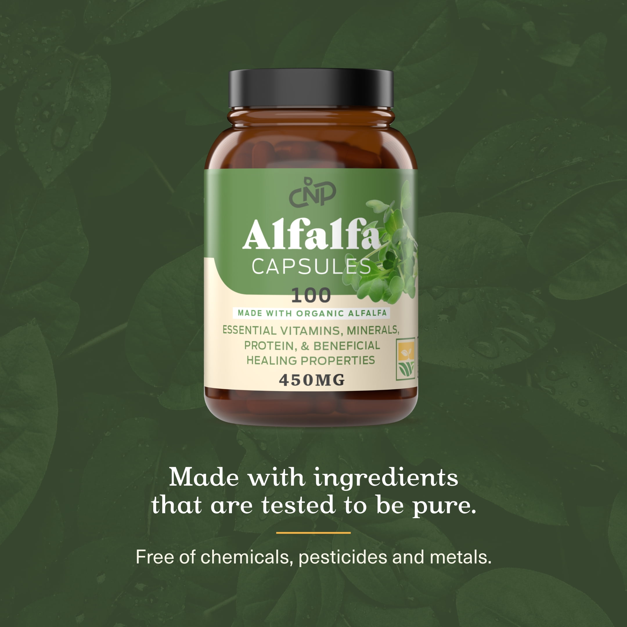 Buy Complete Natural Products Organic Alfalfa Capsules 100 Count