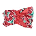 thumbnail image 2 of Vêtements en Polyester pour Petit Chien, Robe Douce, Costume Motif Fruit pour Fête d'Été, Rouge Melon D\'eau S, 2 of 9
