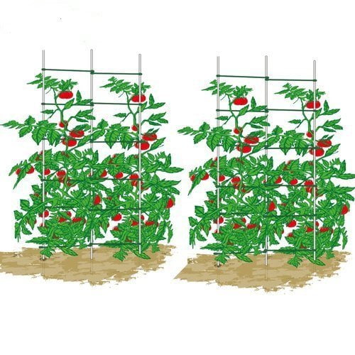 EcoTrellis Expandable Trellis,Plant Ladder,Support Ladder,Tomato Trellis,Cucumber Trellis,... by Wellco Industries Inc.