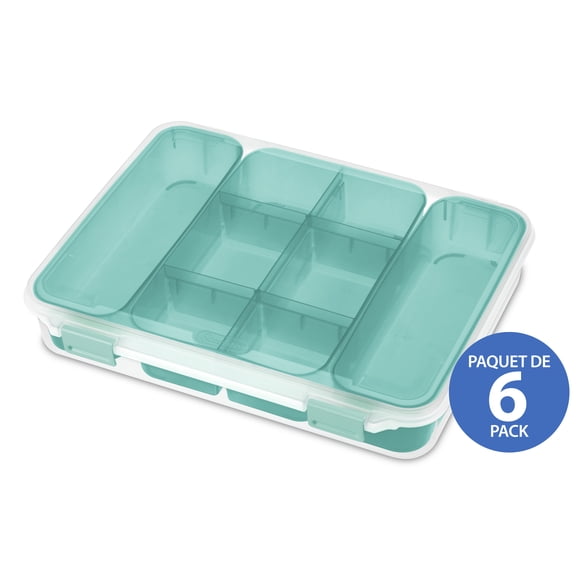 Sterilite Divided Case, 6 Pk