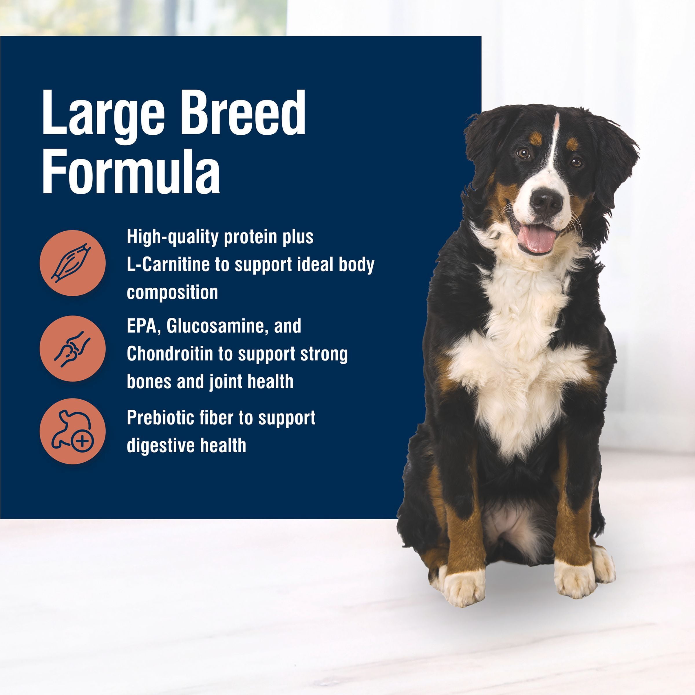 Blue Buffalo True Solutions Large Breed Care Natural Dry Dog Food, Chicken, 11-lb. Bag